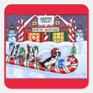 Pegatina Cuadrada Navidades de Candy Cane Santa de Boston Terriers