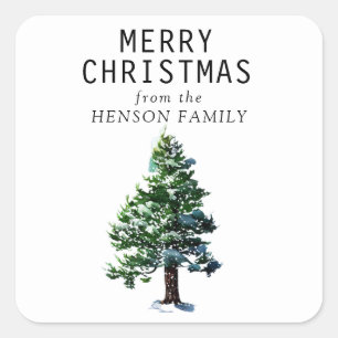 Pegatina Cuadrada Navidades de familia artística de pájaros de color