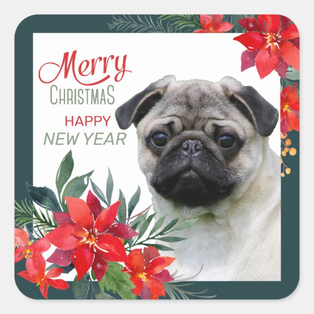 Pegatina Cuadrada Navidades de Fawn Pug Dog Poinsettia Bouquet