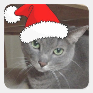 Pegatina Cuadrada Navidades de gato azul de Rusia