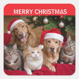 Pegatina Cuadrada Navidades de gatos y perros