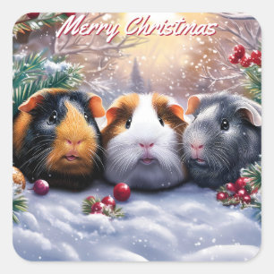 Pegatina Cuadrada Navidades de Guinea Pigs Winter Wonderland