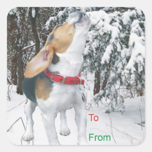 Pegatina Cuadrada Navidades de Howling Beagle Snowy dan Pegatinas de