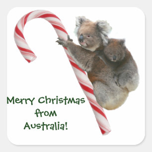 Pegatina Cuadrada Navidades de mamá y Joey Koala Candy Cane