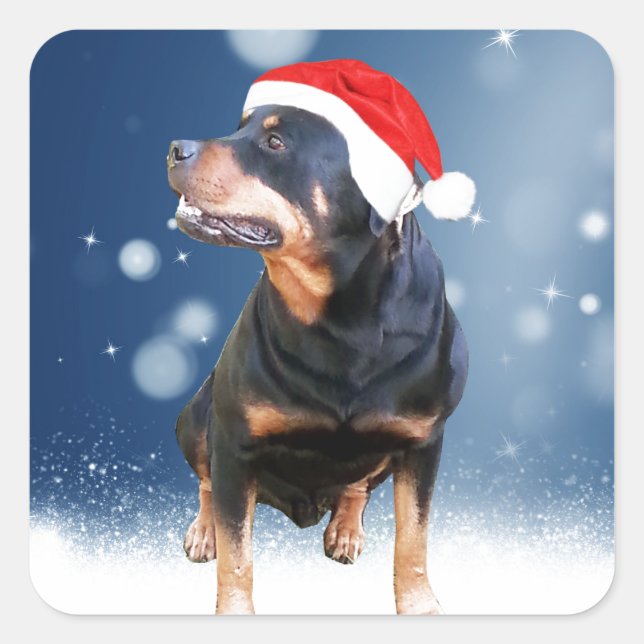 Pegatina Cuadrada Navidades de perro de Cute Rottweiler (Anverso)