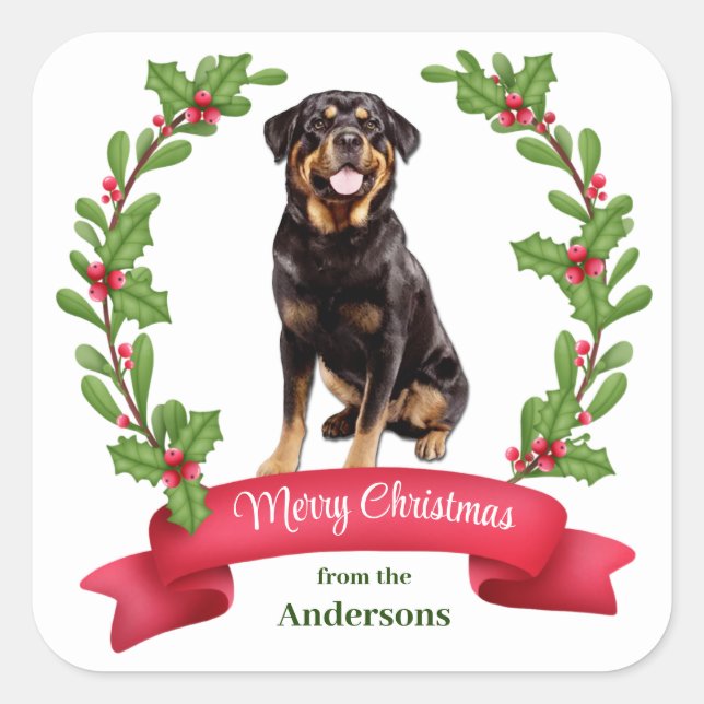 Pegatina Cuadrada Navidades de perro Rottweiler Banner Berry Holly (Anverso)