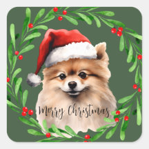 Navidades de Pomerania acuarela