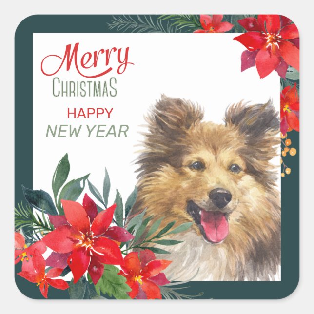 Pegatina Cuadrada Navidades de Shetland Sheepdog Poinsettia Bouquet (Anverso)