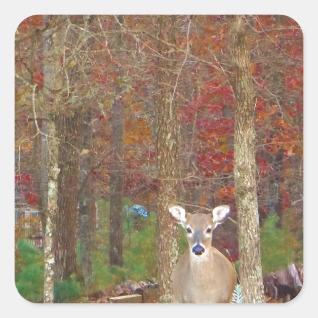 Pegatina Cuadrada Navidades Deer (Anverso)