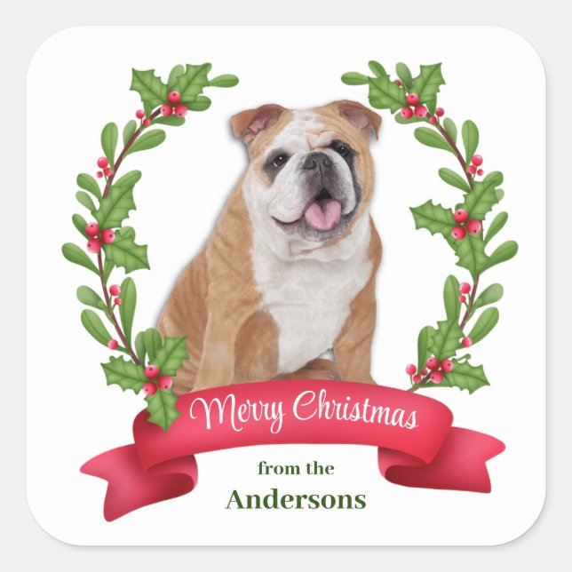 Pegatina Cuadrada Navidades del Bulldog de Banner Red Berry Holly (Anverso)