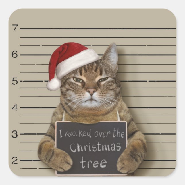 Pegatina Cuadrada Navidades del gato Mugshot (Anverso)