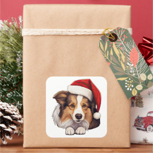 Pegatina Cuadrada Navidades festivos Shetland Sheepdog