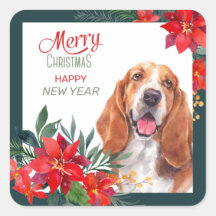 Navidades fronterizos de Basset Hound Poinsettia
