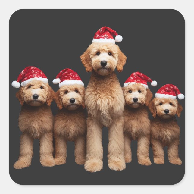 Pegatina Cuadrada Navidades Goldendoodle, equipo de Xmas Labradoodle (Anverso)