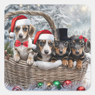 Pegatina Cuadrada Navidades Holiday Cute Dachshund Cuppies