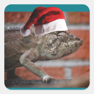 Pegatina Cuadrada Navidades Lizard