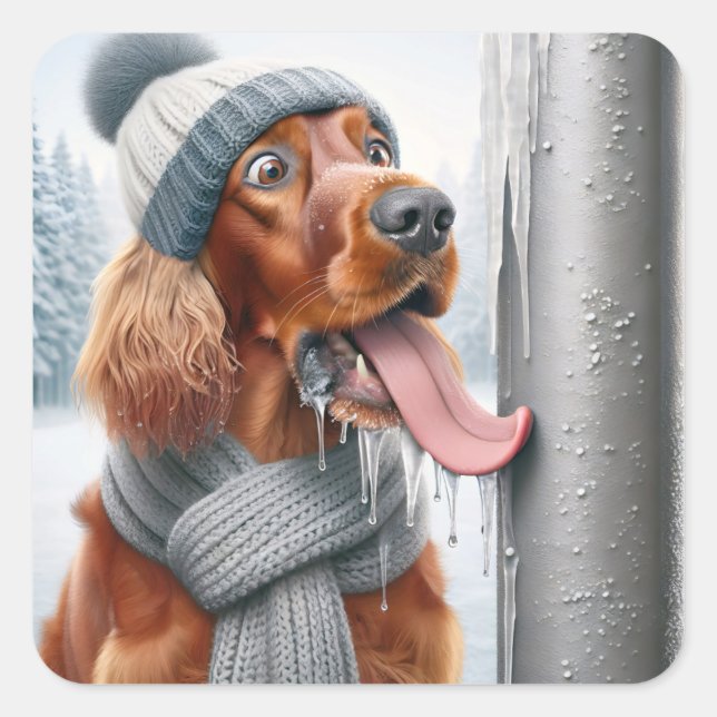 Pegatina Cuadrada Navidades Perro De Los Setter Irlandeses Que Licía (Anverso)