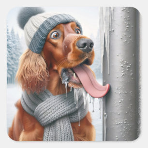 Pegatina Cuadrada Navidades Perro De Los Setter Irlandeses Que Licía