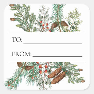 Pegatina Cuadrada Navidades Pine Conifer Festividad Evergreen