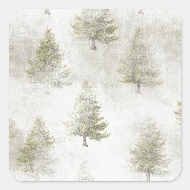 Pegatina Cuadrada Navidades Pine tree Grunge Snow Background (Anverso)