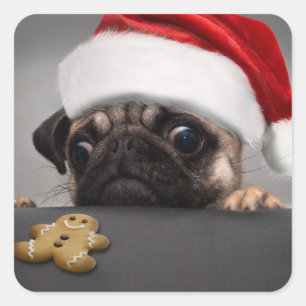 Pegatina Cuadrada Navidades Pug