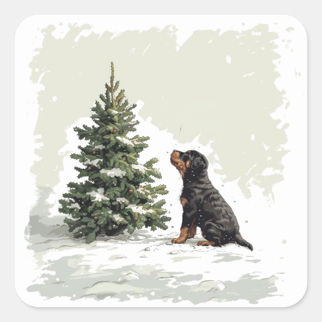 Pegatina Cuadrada Navidades Rottweiler Perro Árbol de Navidad (Anverso)