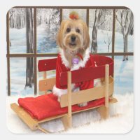 Navidades Shih-Tzu Dog