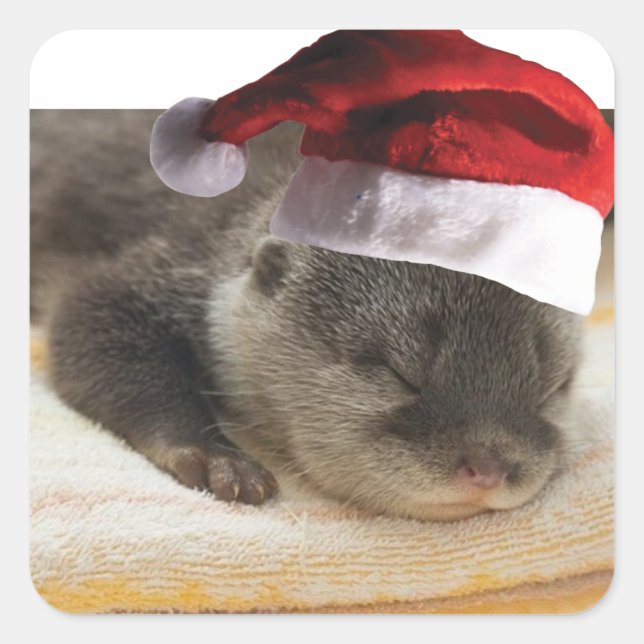 Pegatina Cuadrada Navidades Sleepy Otter (Anverso)