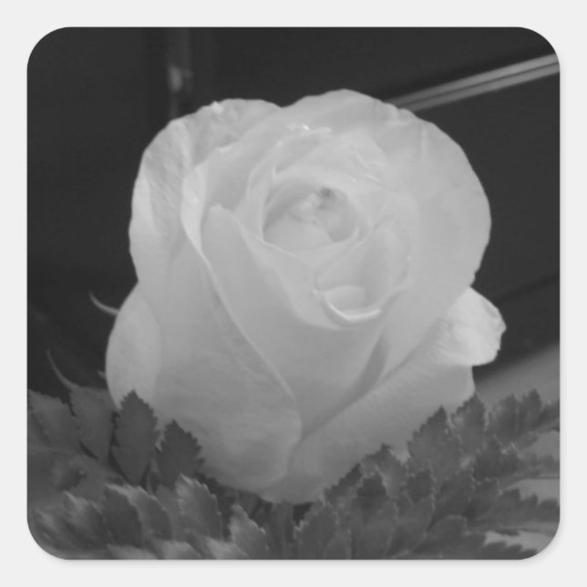 Pegatina Cuadrada Negro y blanco (Anverso)