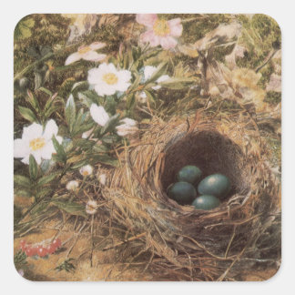 Pegatina Cuadrada Nido de pájaro y rosas de perro por John William H