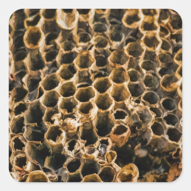 Pegatina Cuadrada Nido vacío (Anverso)