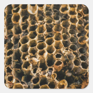 Pegatina Cuadrada Nido vacío