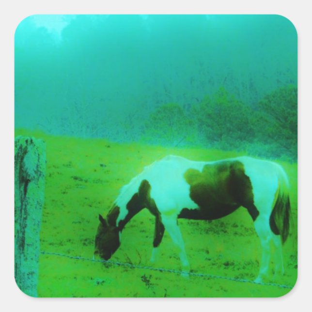 Pegatina Cuadrada Niebla verde azulada Reto pintado pony Caballo (Anverso)