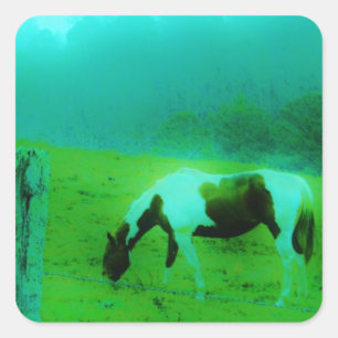 Pegatina Cuadrada Niebla verde azulada Reto pintado pony Caballo