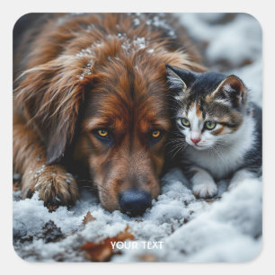 Pegatina Cuadrada Nieve de gato de perro maldición