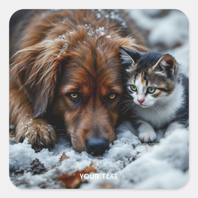 Pegatina Cuadrada Nieve de gato de perro maldición (Anverso)