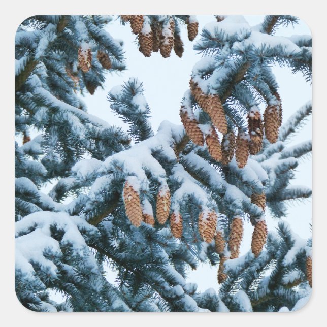 Pegatina Cuadrada Nieve en los Pegatinas de los Pines (Anverso)
