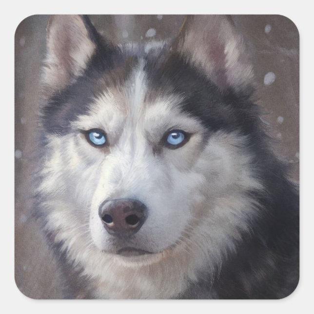 Pegatina Cuadrada Nieve Husky Siberian (Anverso)