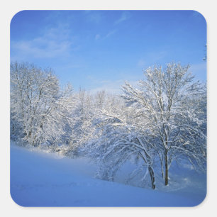 Pegatina Cuadrada Nieve récord en Louisville, Kentucky.