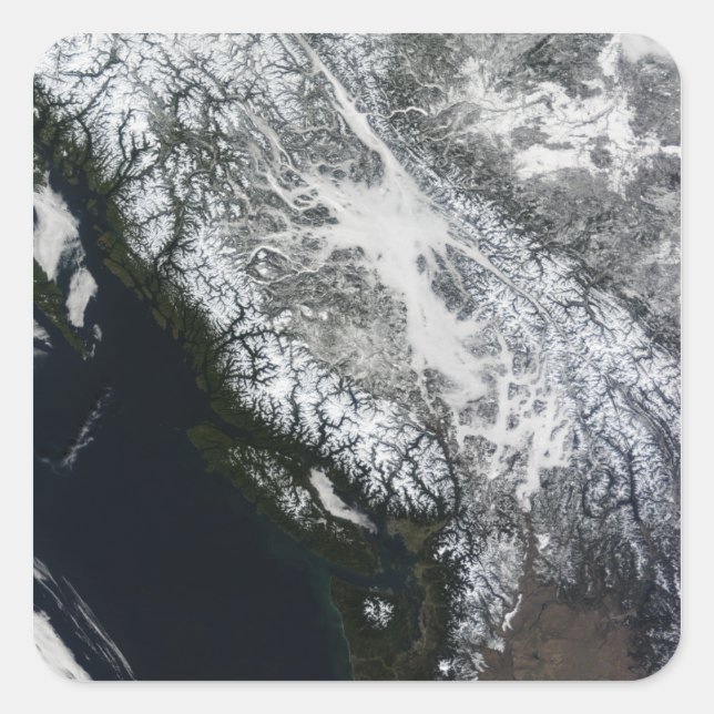 Pegatina Cuadrada Nieve y niebla en Columbia Británica (Anverso)