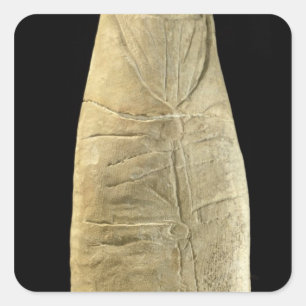 Pegatina Cuadrada Niño en ropa swaddling