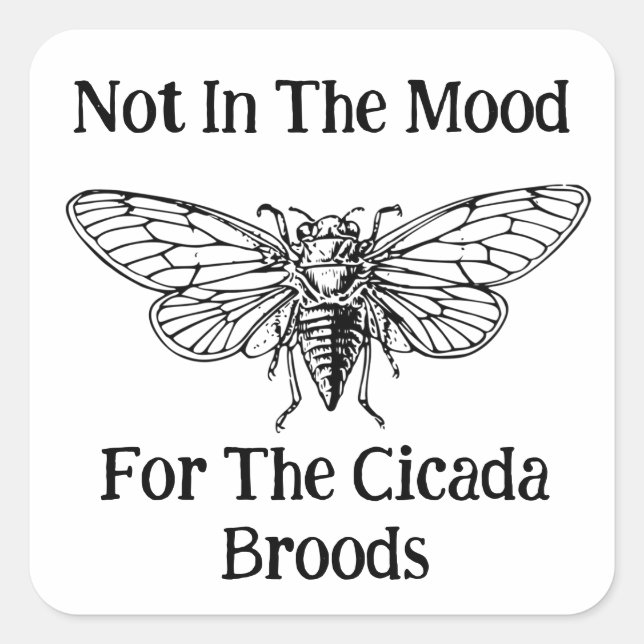 Pegatina Cuadrada No En El Ánimo De La Cicada (Anverso)