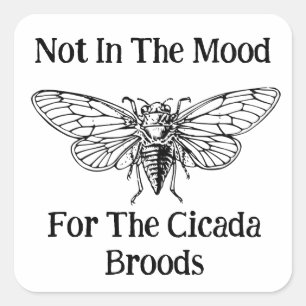 Pegatina Cuadrada No En El Ánimo De La Cicada