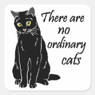 Pegatina Cuadrada No Hay Gatos Ordinarios