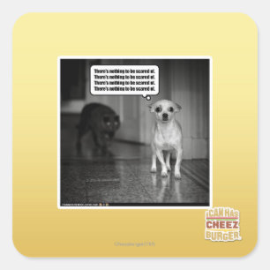 Pegatina Cuadrada No hay nada ser asustado de