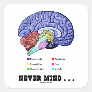 Pegatina Cuadrada No importa... (Humor Psiche de Anatomía Cerebral)