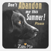 No me abandones este verano - Protección de perros