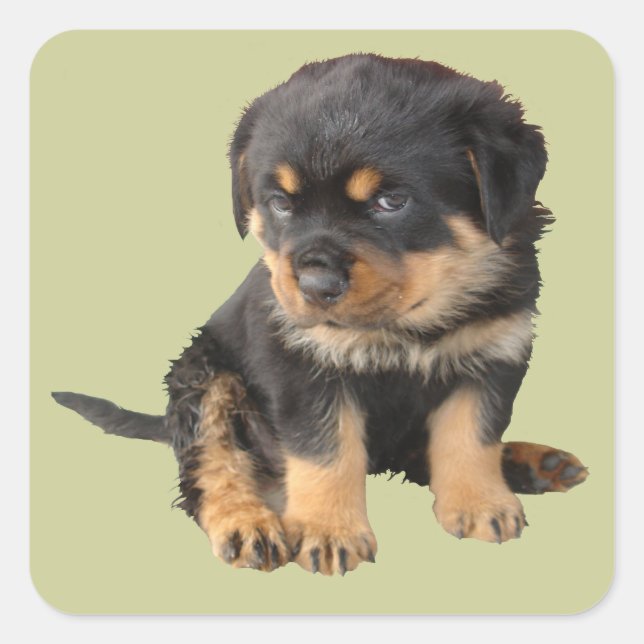 Pegatina Cuadrada No necesito que me digan que soy amable (Anverso)