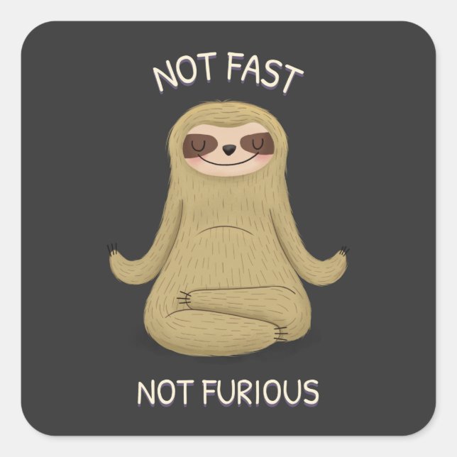 Pegatina Cuadrada No Rápido No Furioso (Anverso)