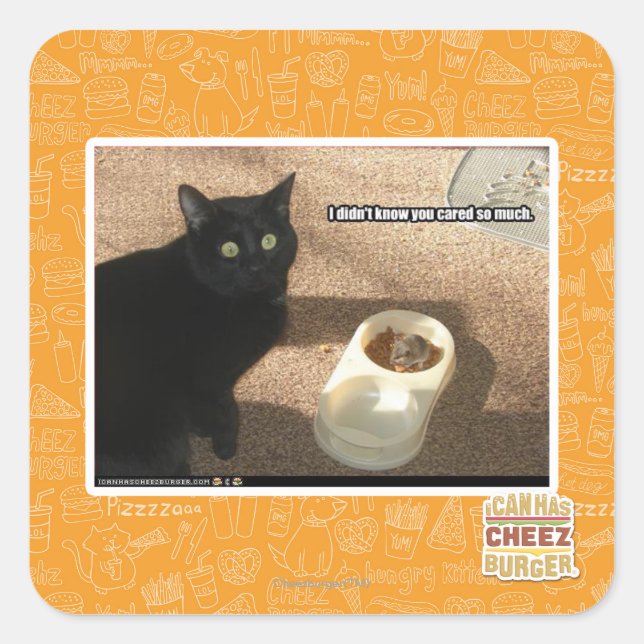 Pegatina Cuadrada No sé que te importara (Anverso)